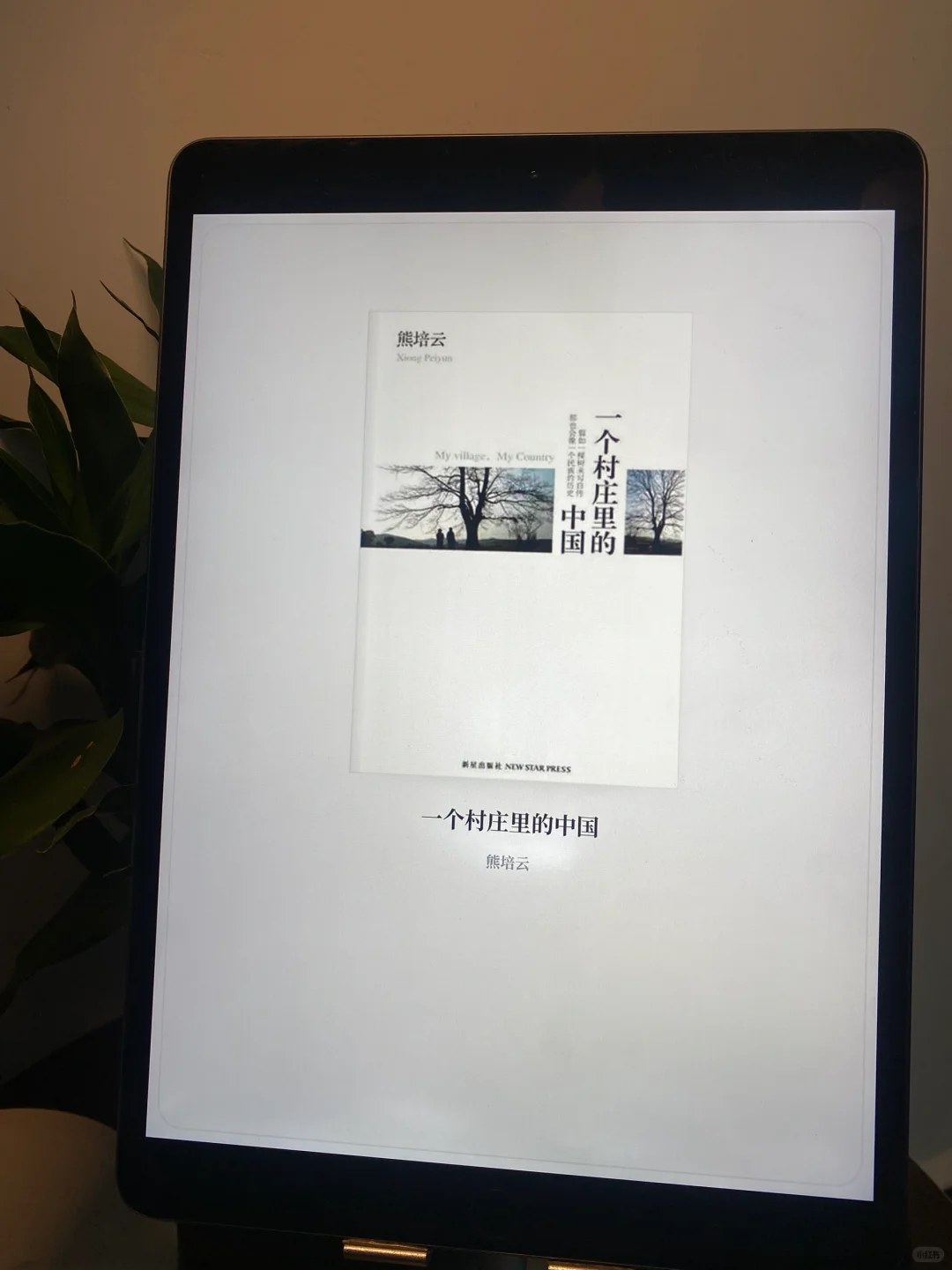 实现电子书自由😭在小红书跟风最成功一次