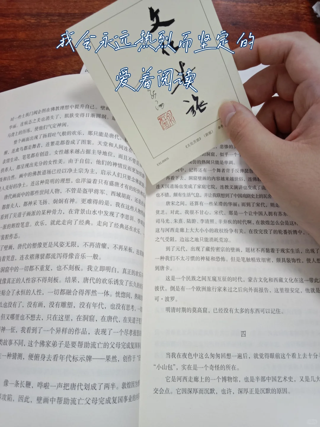 阳光 阅读 树木