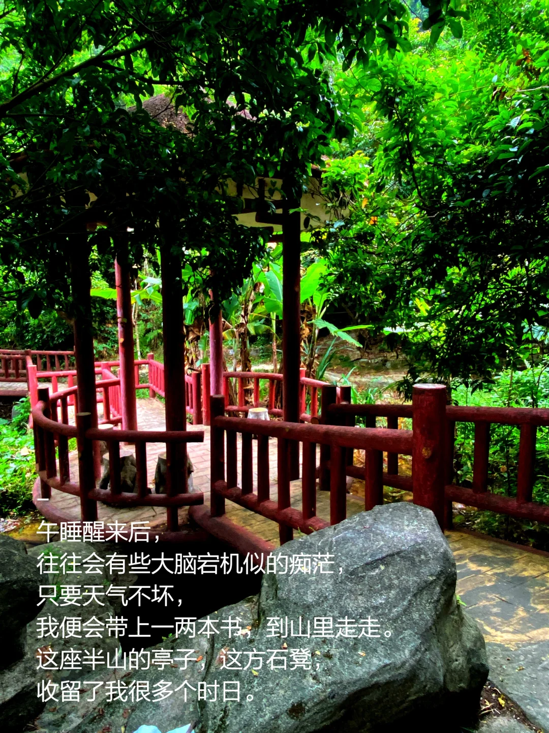 当我把书房搬进大自然