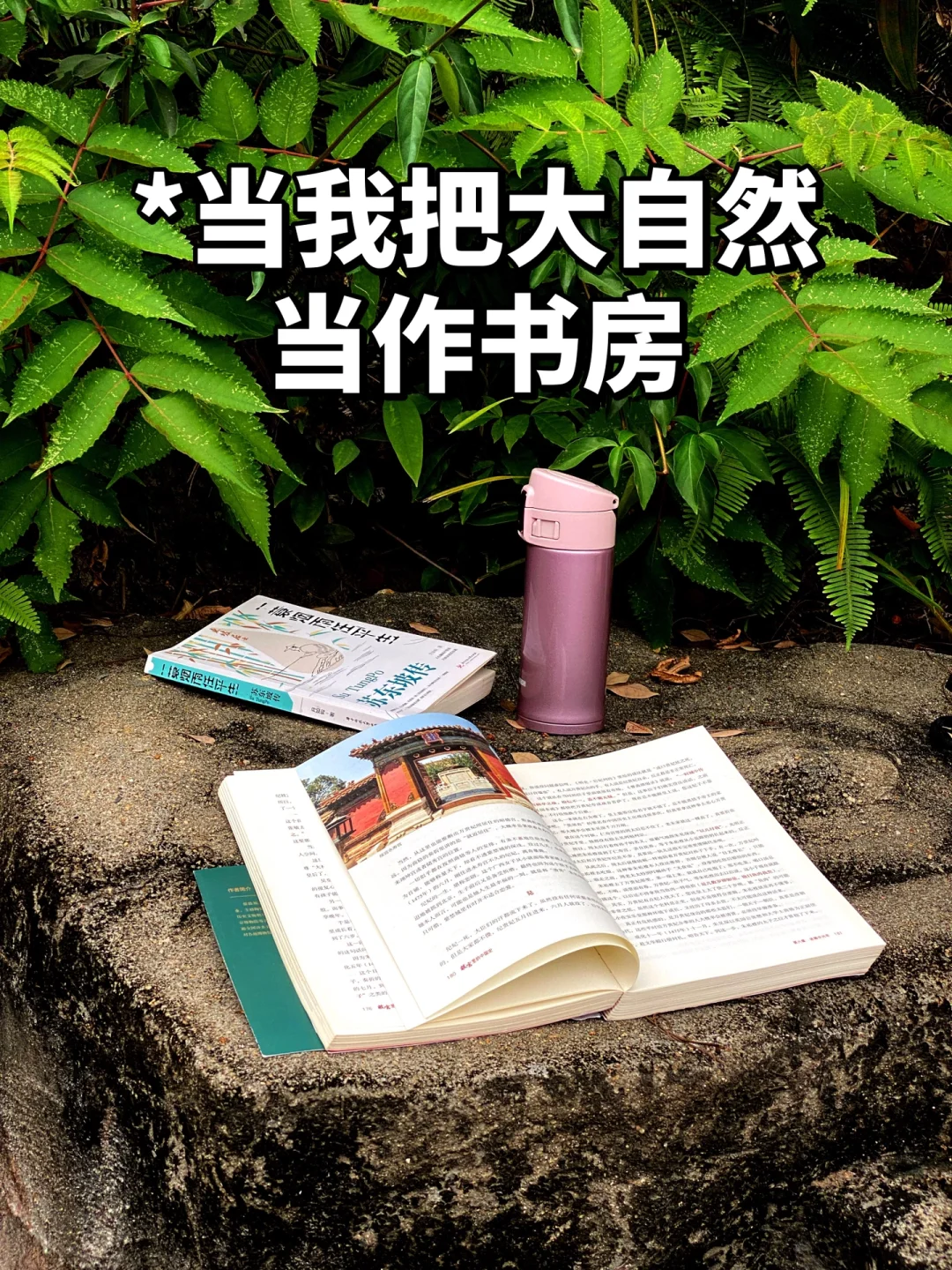 当我把书房搬进大自然