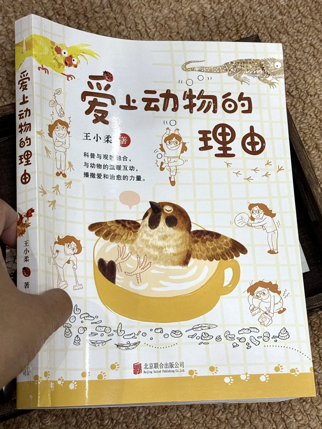 太遗憾了！为什么我小时候没有这些书！！