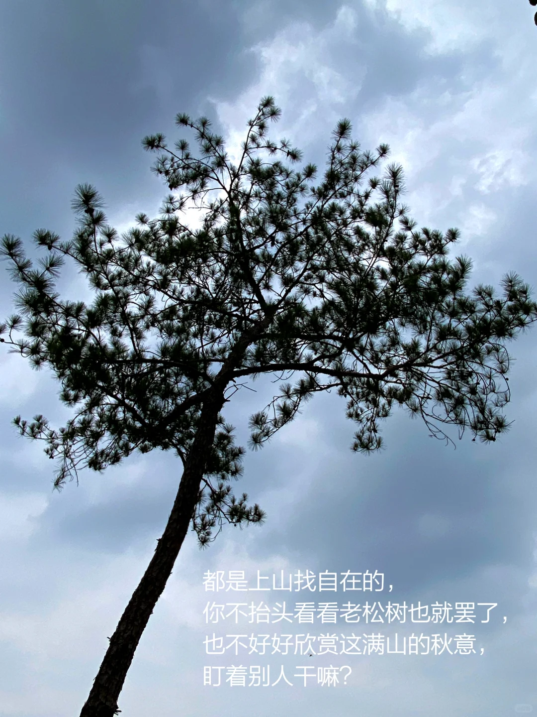 当我把书房搬进大自然