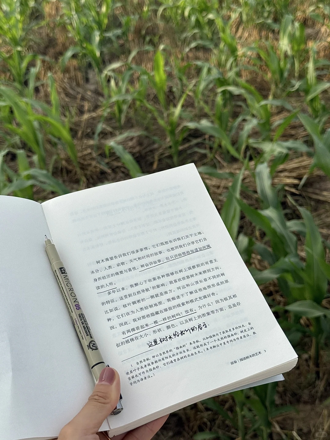 田野、散步、阅读，就这样读了一下午。