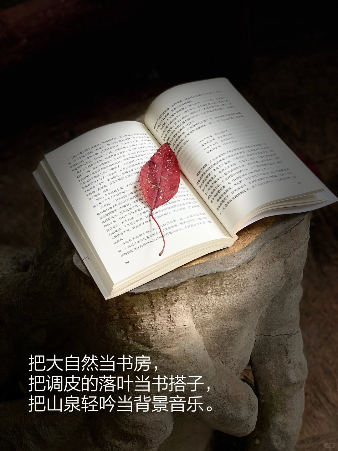 当我把书房搬进大自然