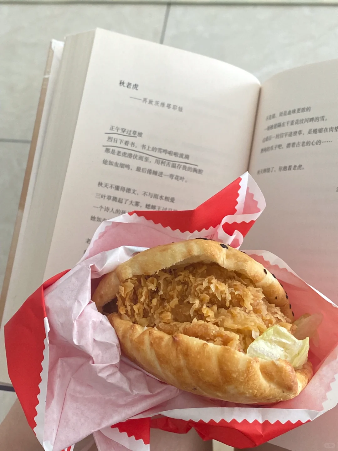 ：阅读是一座随身携带的避难所/📖