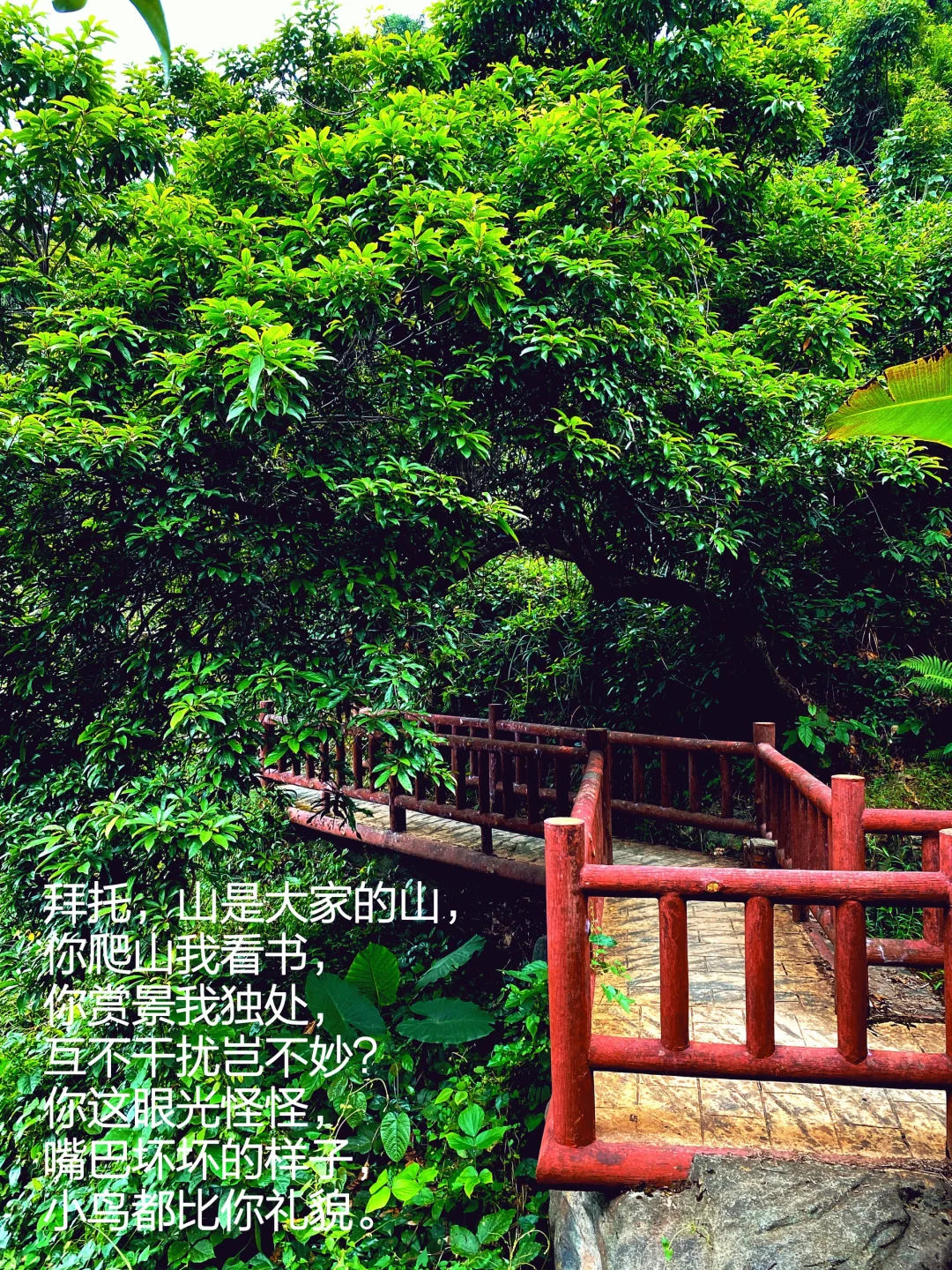 当我把书房搬进大自然