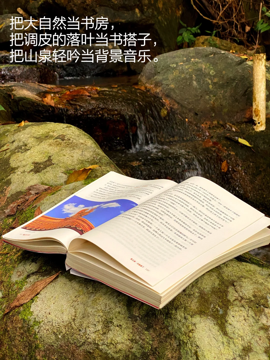 当我把书房搬进大自然