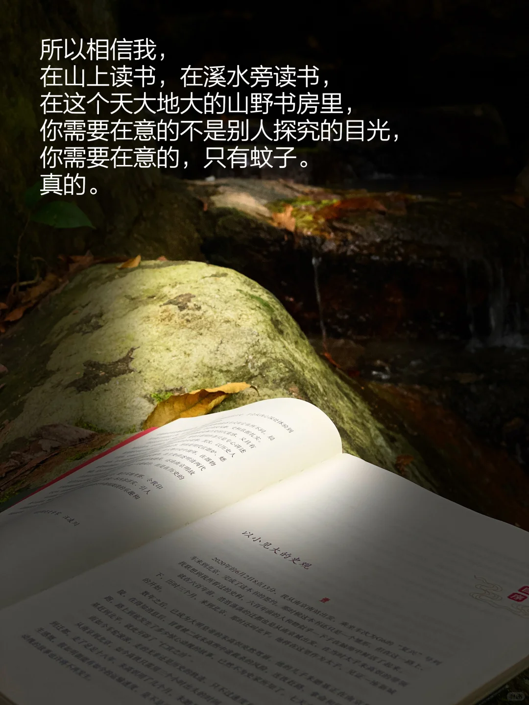 当我把书房搬进大自然