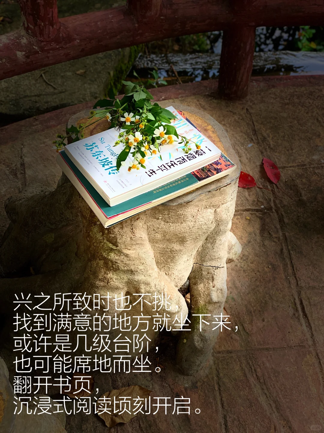当我把书房搬进大自然