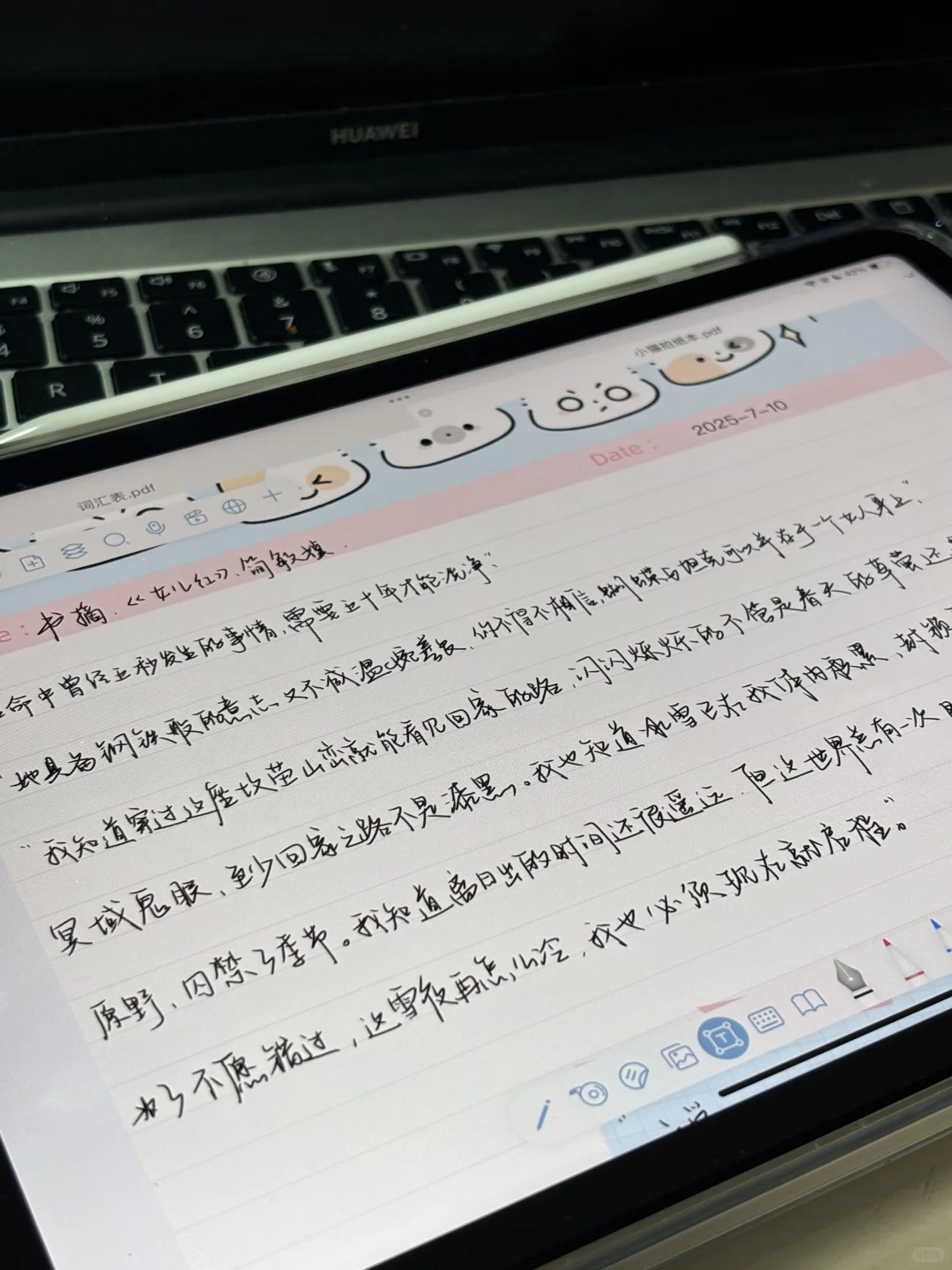 iPad第一篇电子书摘之无纸化学习哪家强？