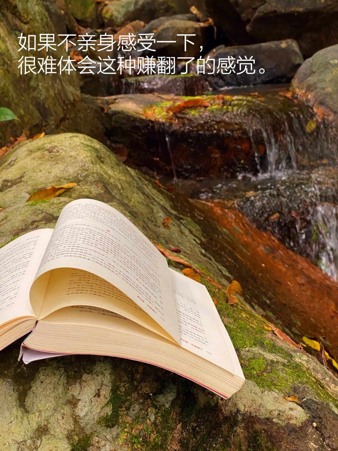 当我把书房搬进大自然