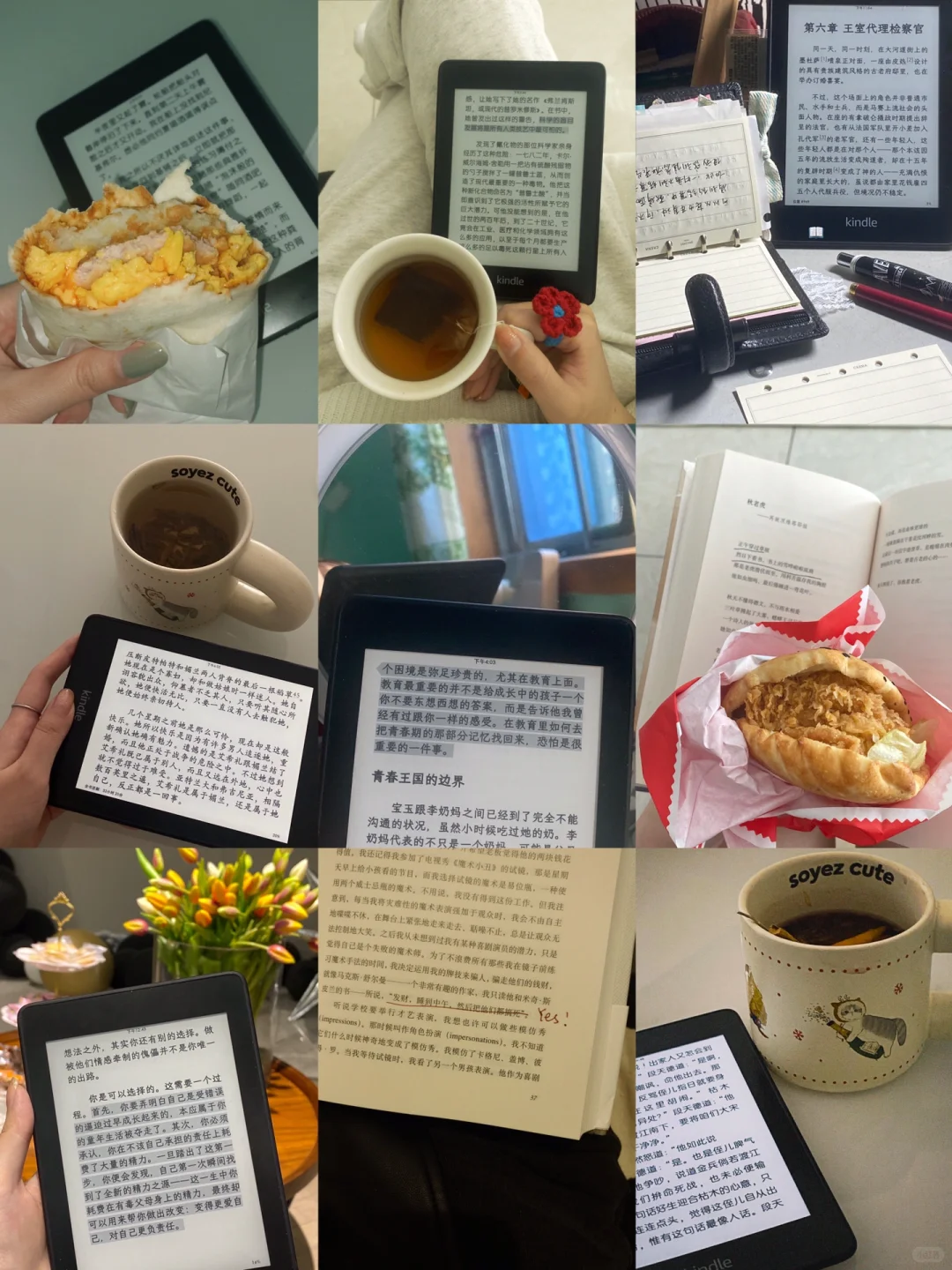 ：阅读是一座随身携带的避难所/📖