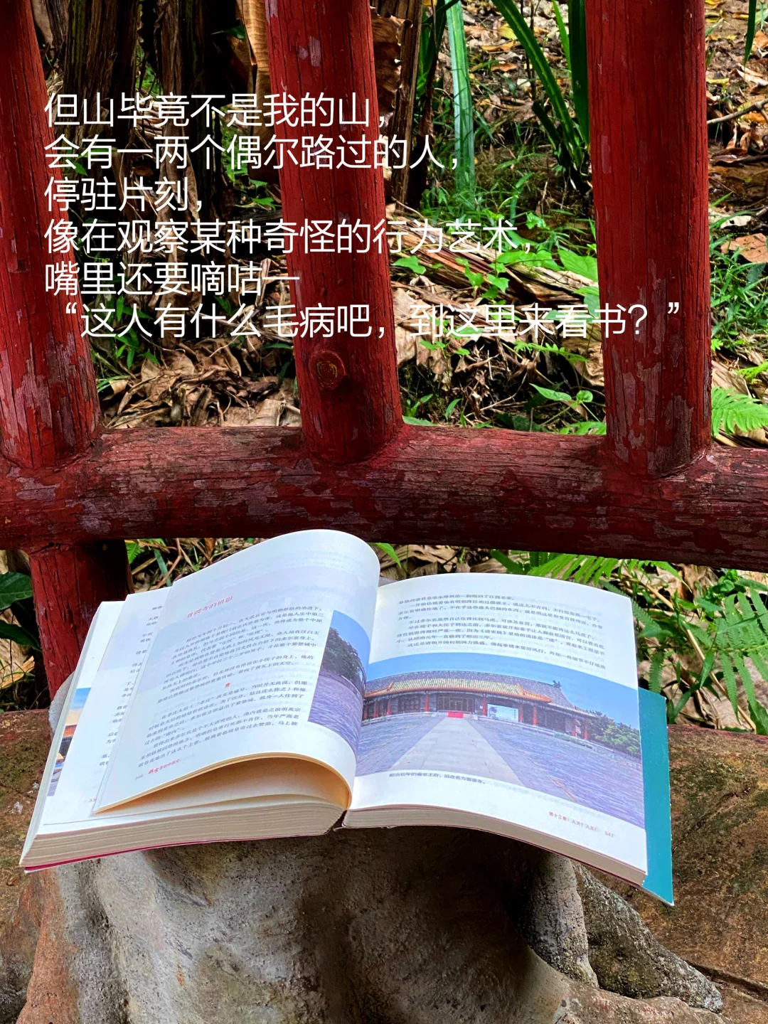 当我把书房搬进大自然