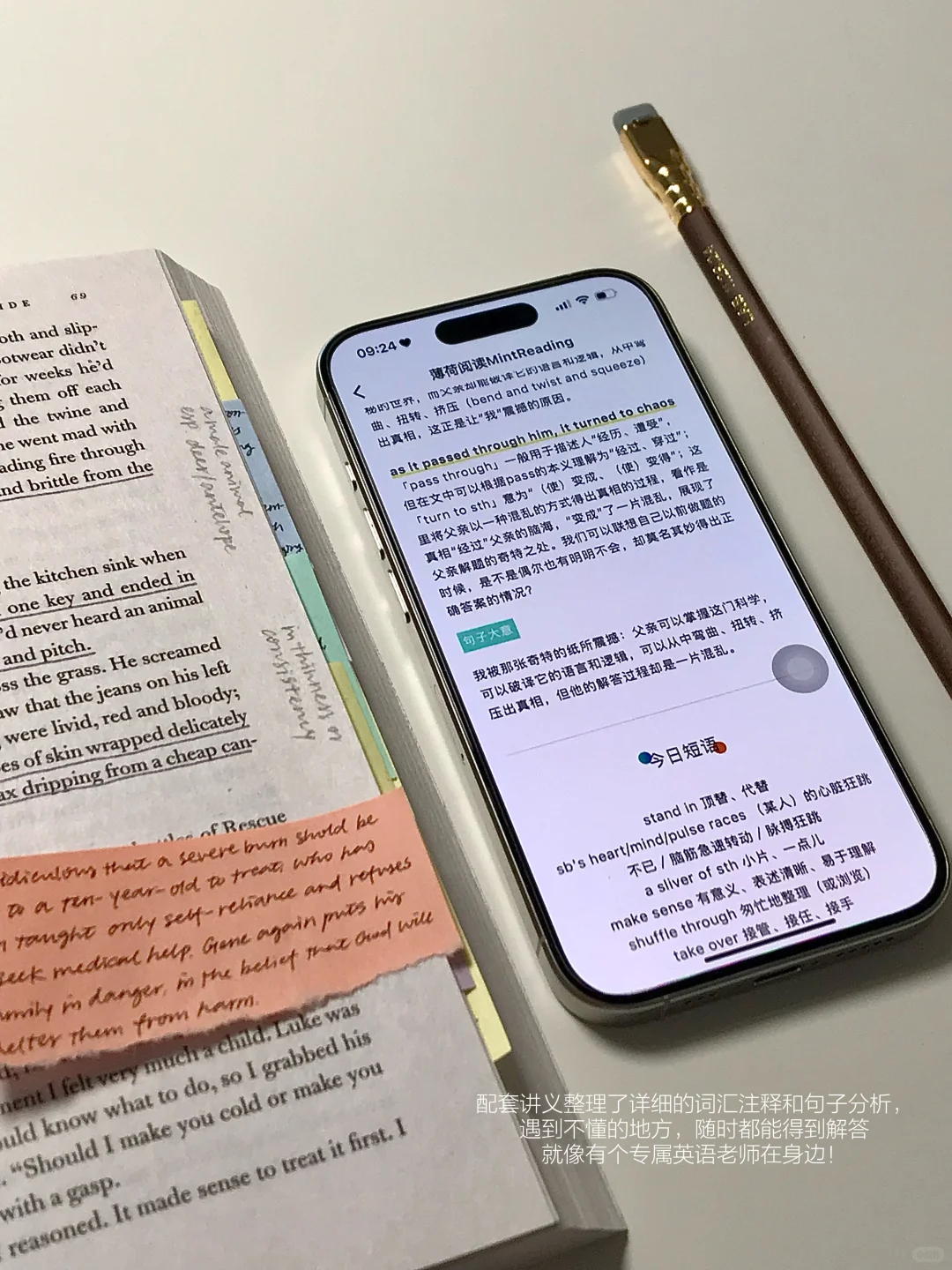 飞往更广阔的世界💛