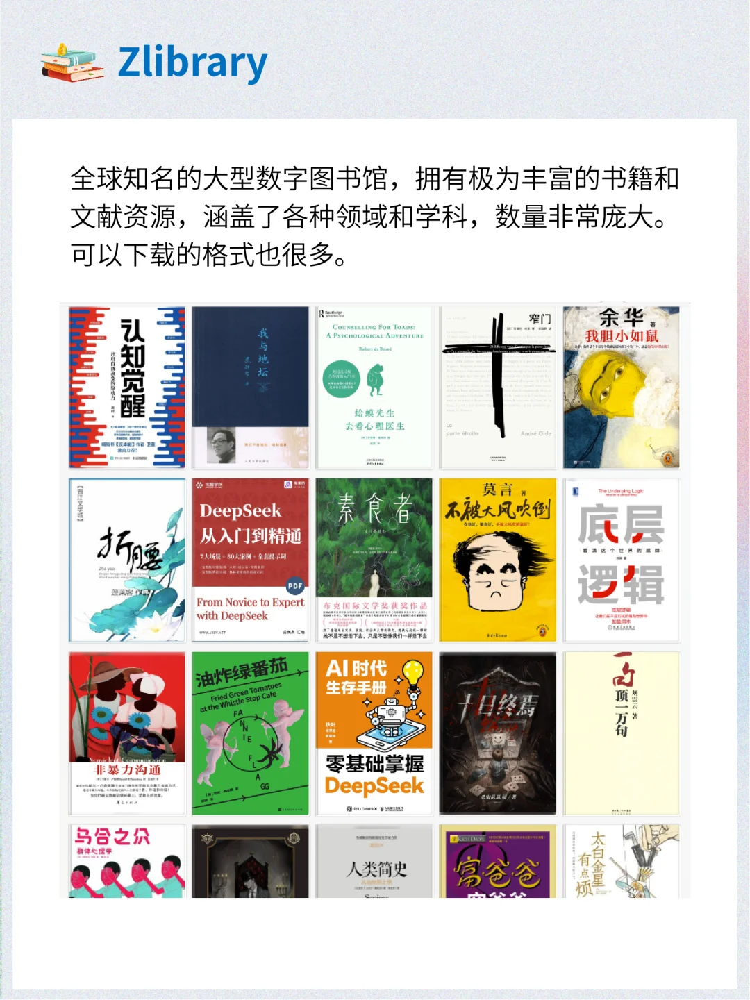 清爽干净的电子书网站！实现看书自由📖