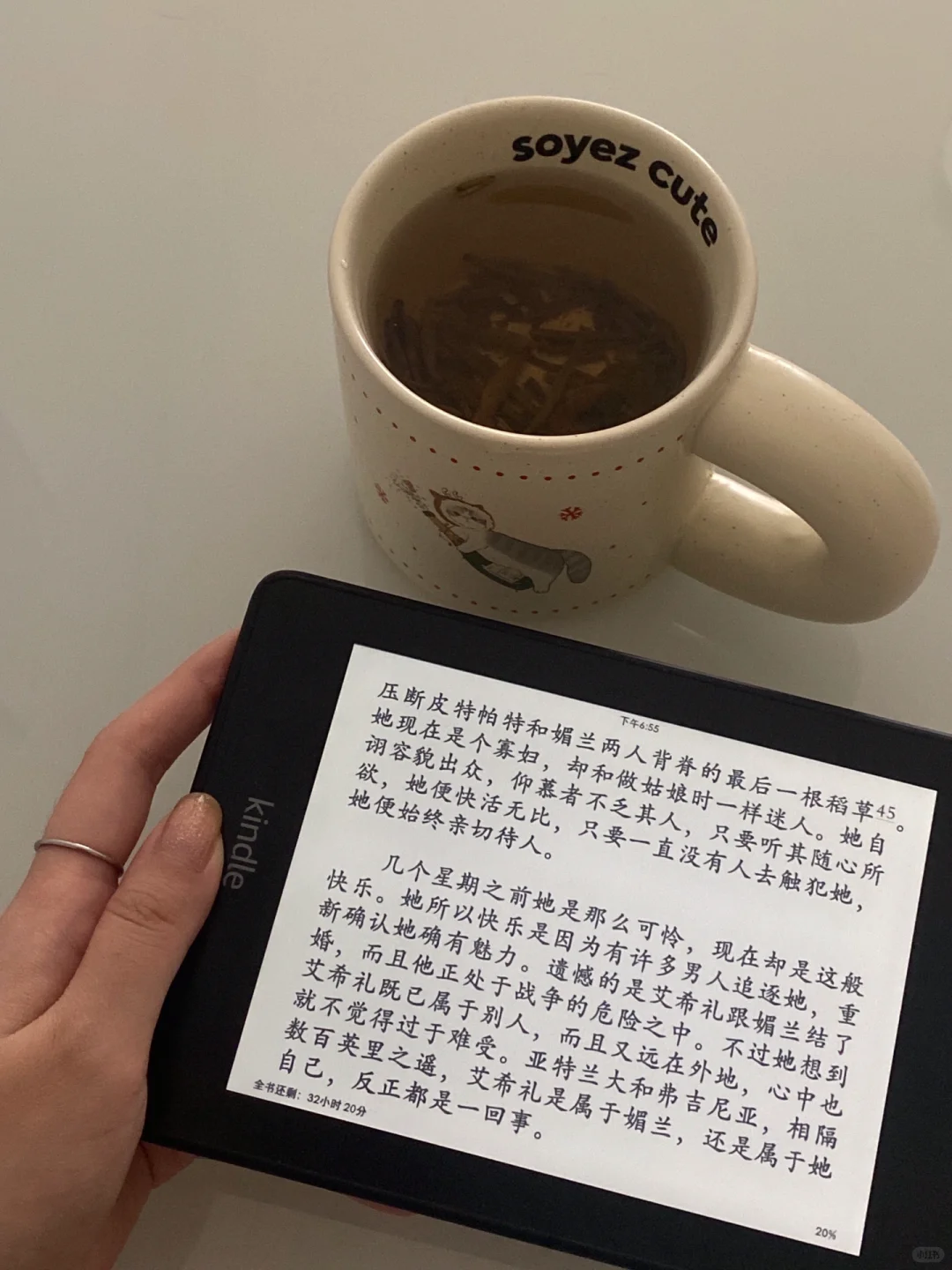 ：阅读是一座随身携带的避难所/📖
