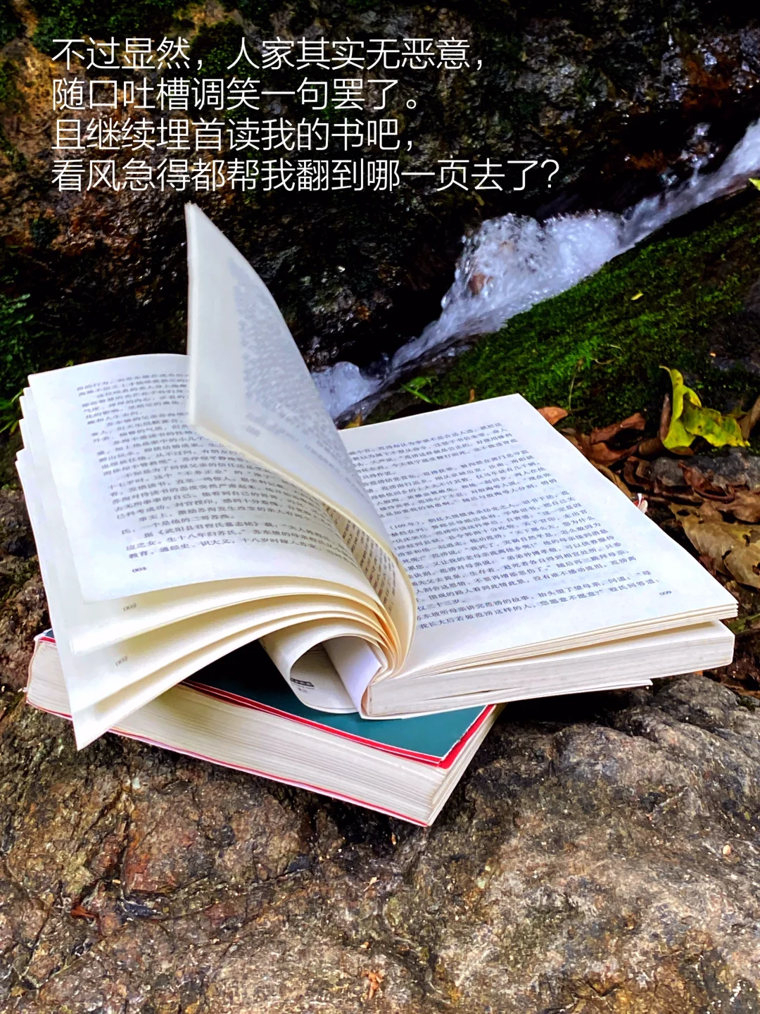 当我把书房搬进大自然