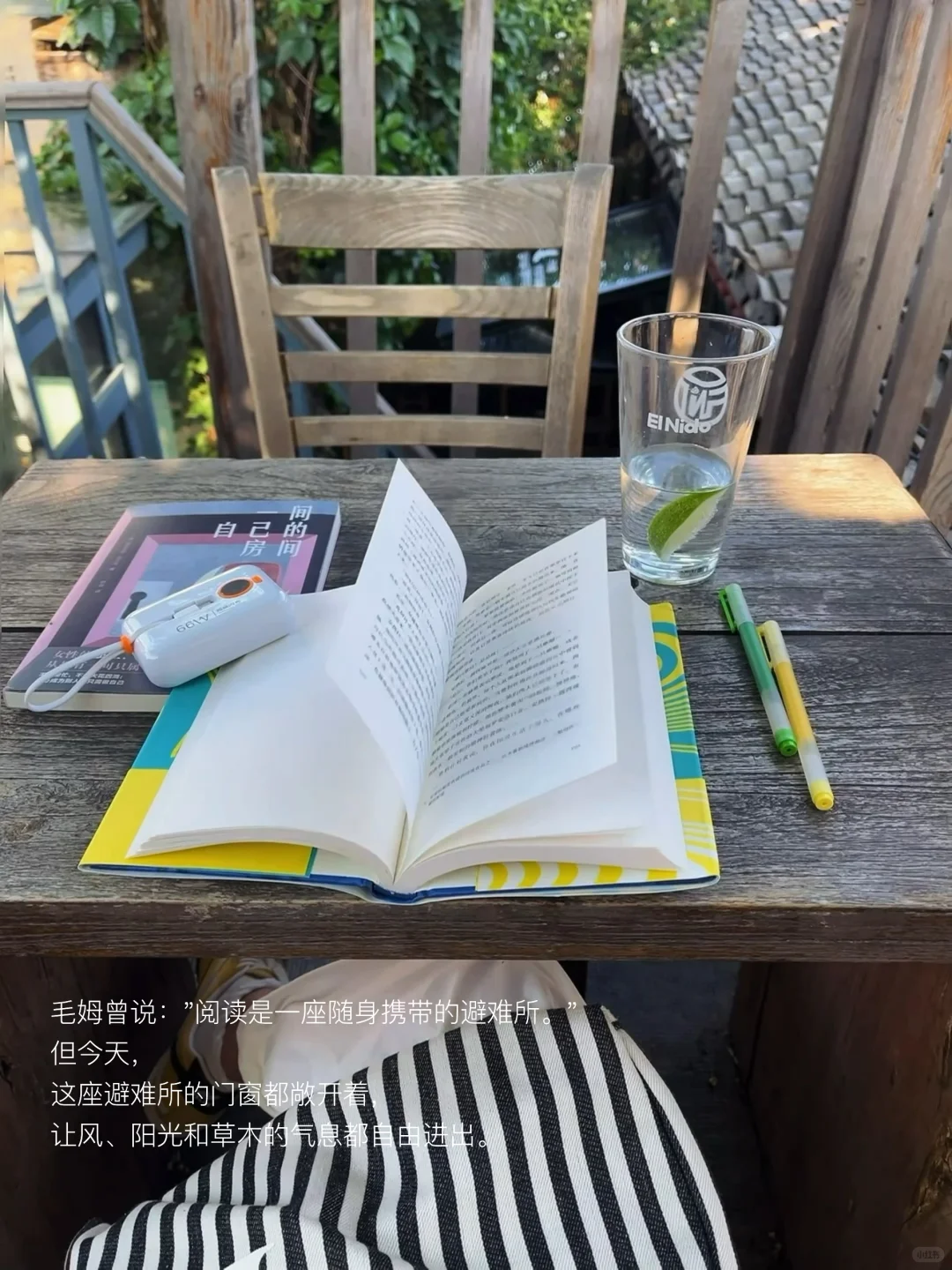 只有风、树、阳光、书和我