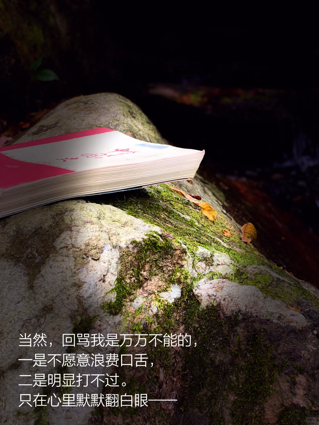 当我把书房搬进大自然