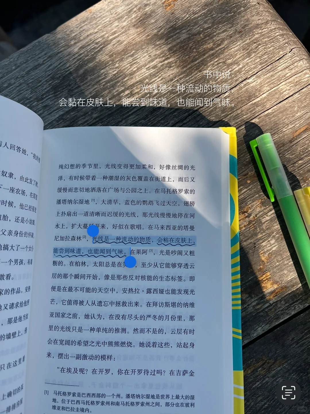 只有风、树、阳光、书和我