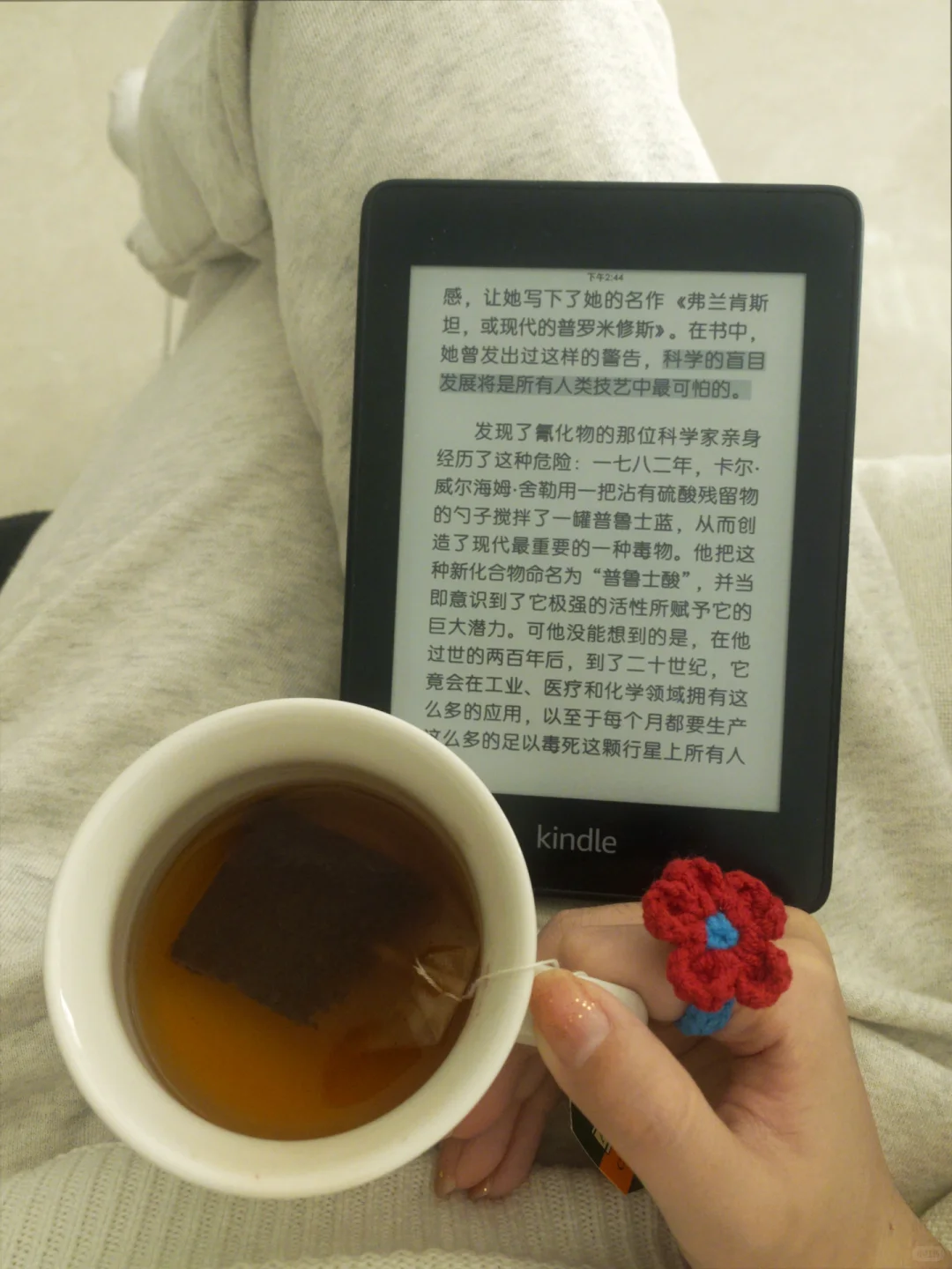 ：阅读是一座随身携带的避难所/📖