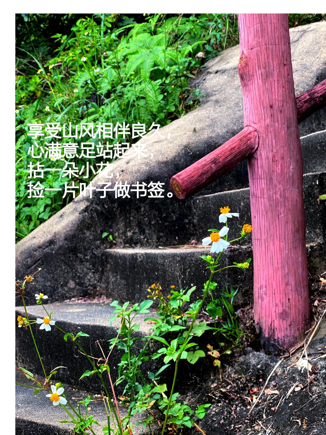 当我把书房搬进大自然