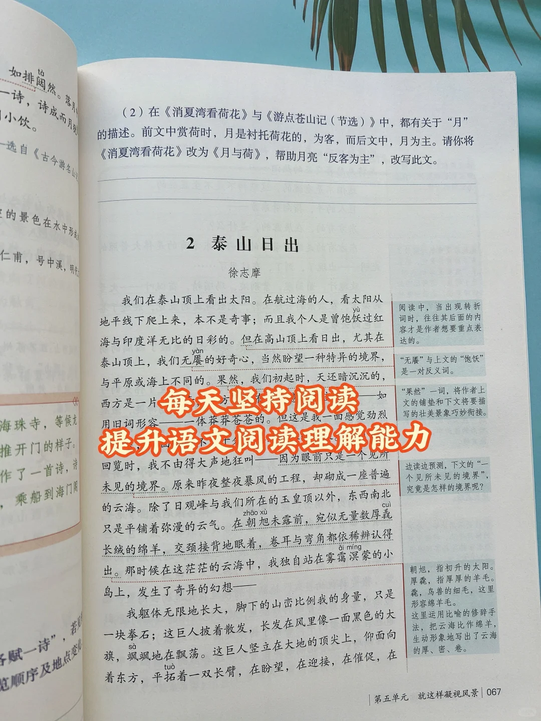 《人民日报》伴你阅读，文章篇篇经典❗️