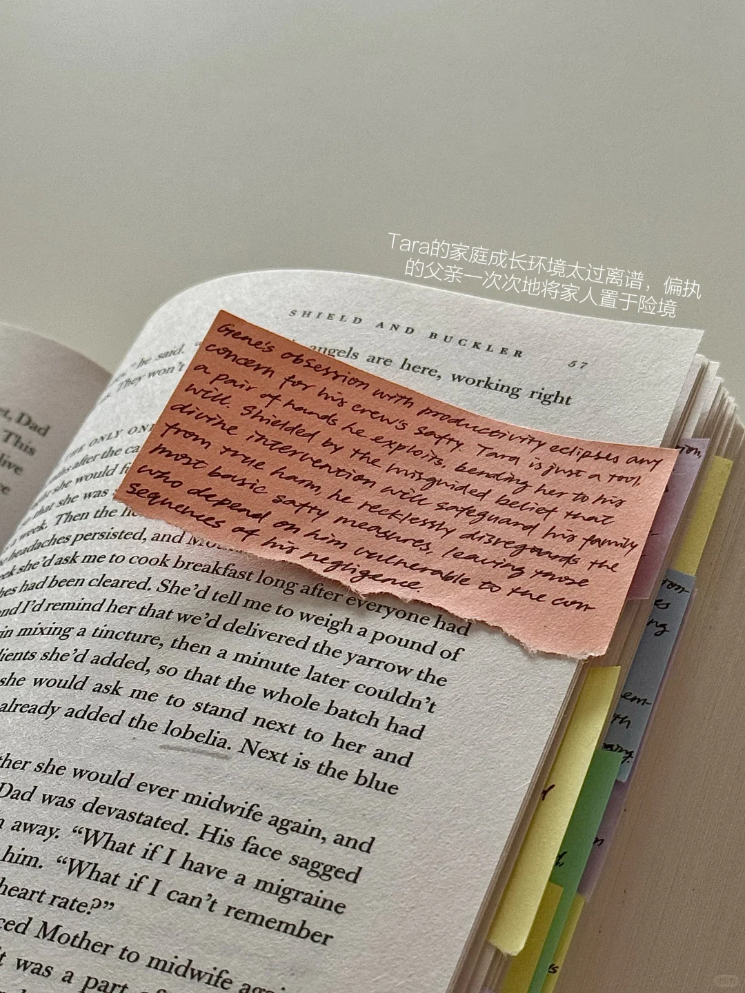 飞往更广阔的世界💛
