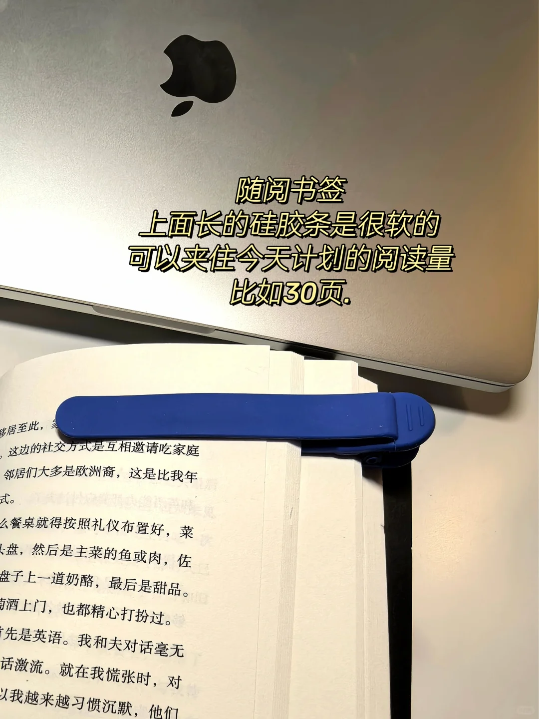 新人博主Day7｜忍不住炫耀一下我的小可爱