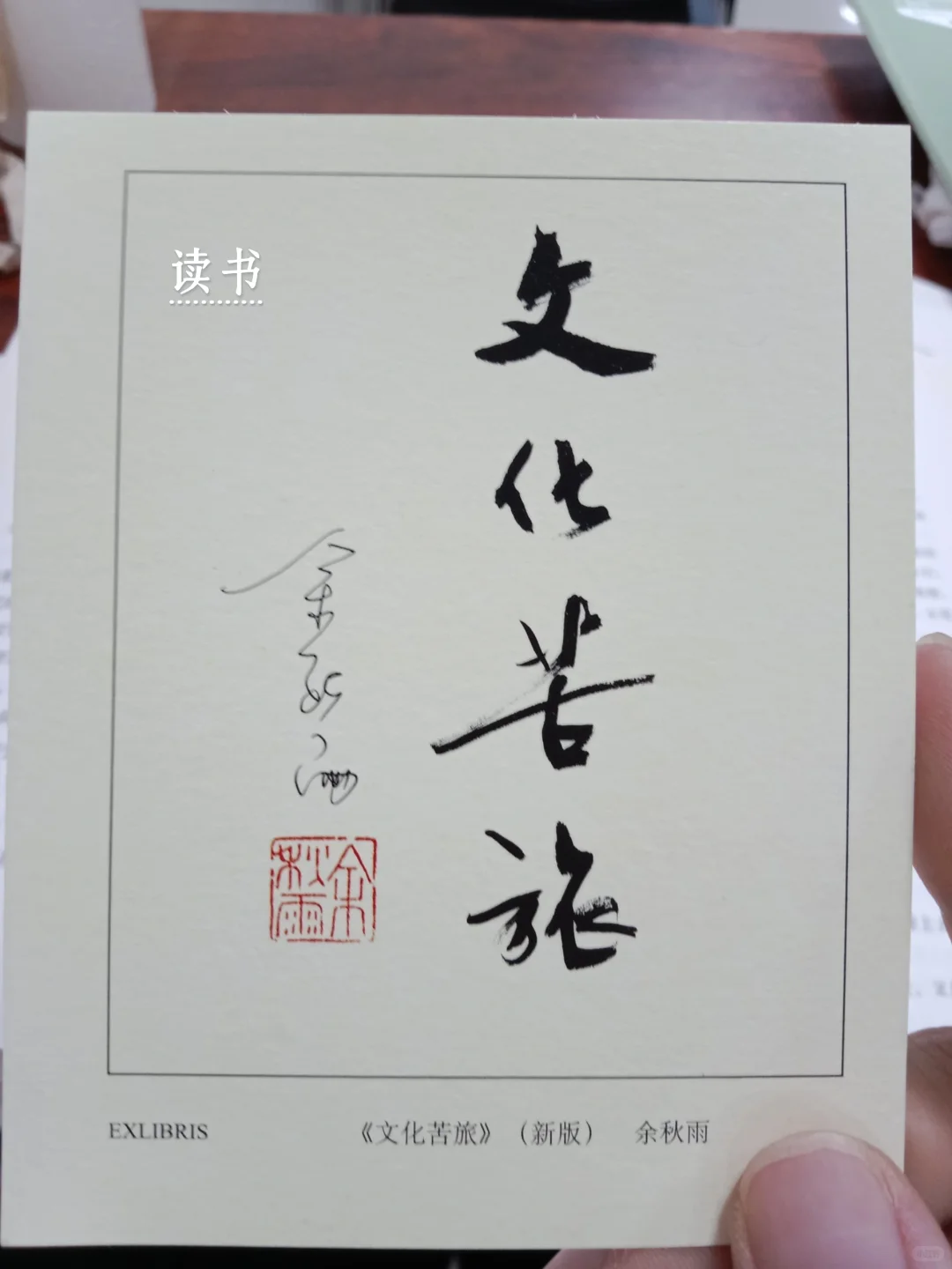 阳光 阅读 树木