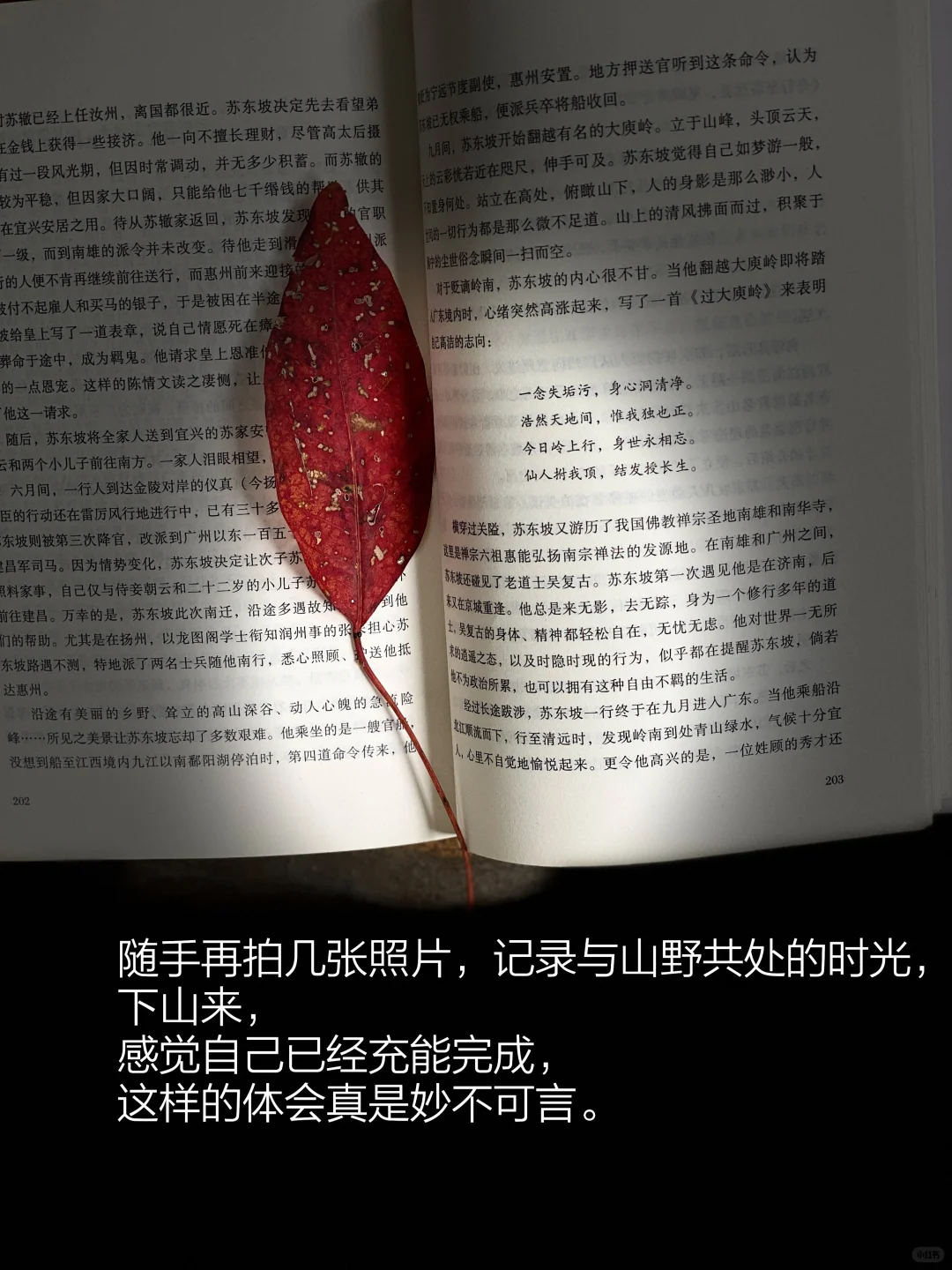 当我把书房搬进大自然