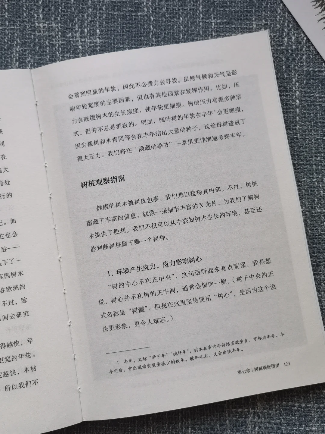 这大概就是🌳自然疗愈的意义