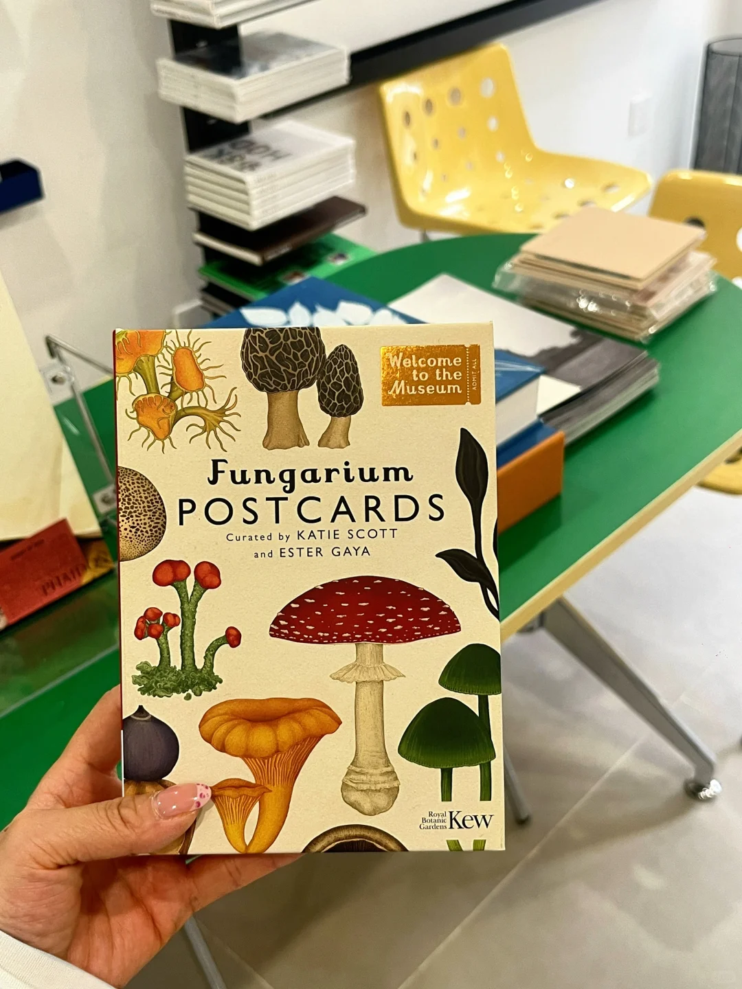 沈阳 番斗书店📕