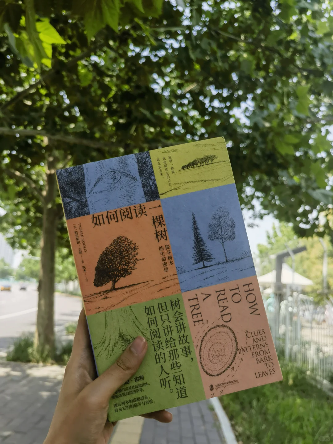 这大概就是🌳自然疗愈的意义