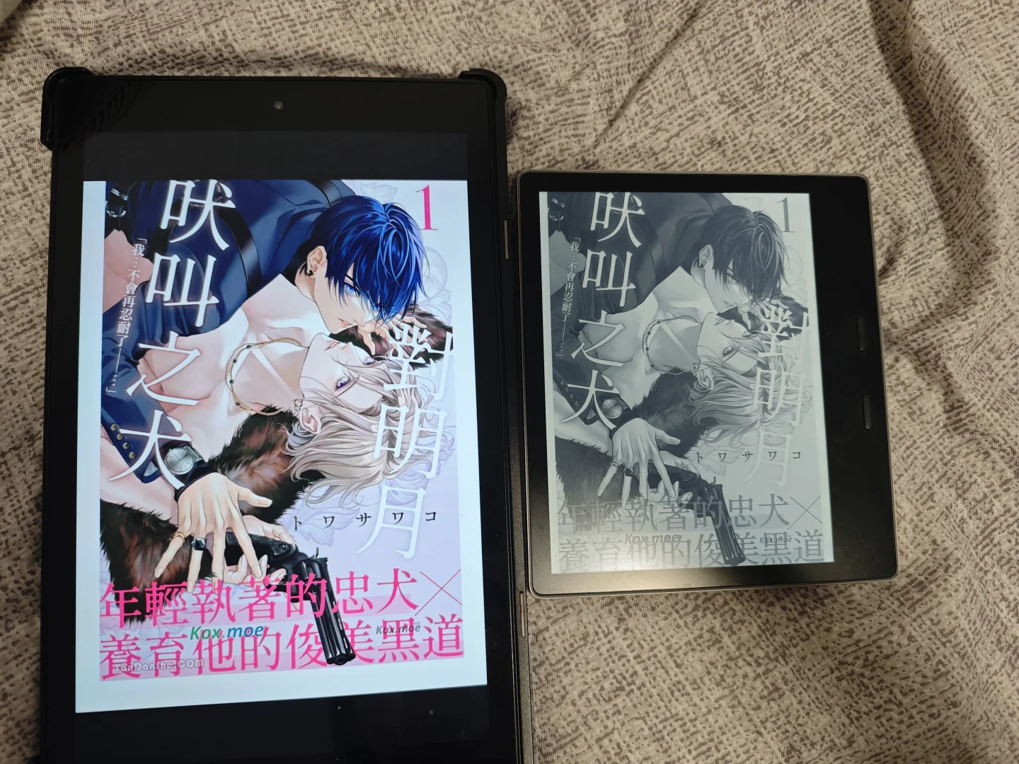 两个kindle