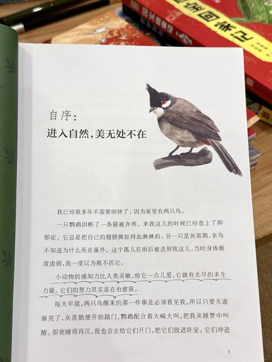 太遗憾了！为什么我小时候没有这些书！！