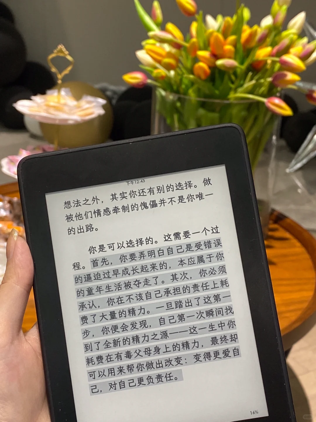 ：阅读是一座随身携带的避难所/📖