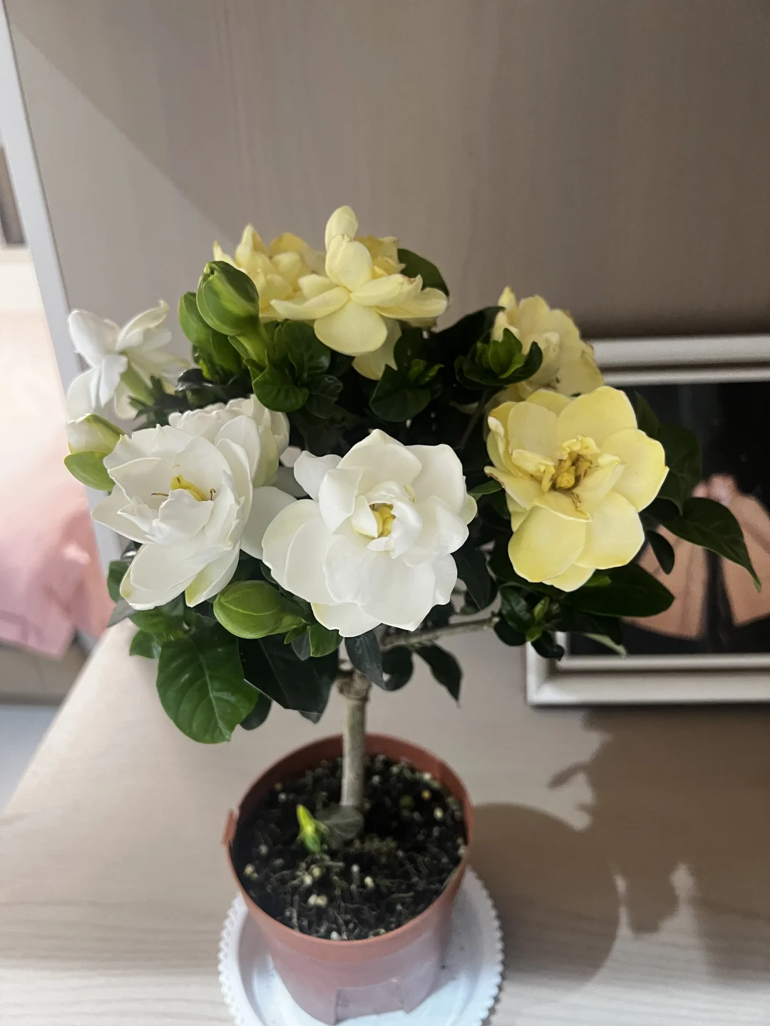 起床后的第一个小时，用来读书