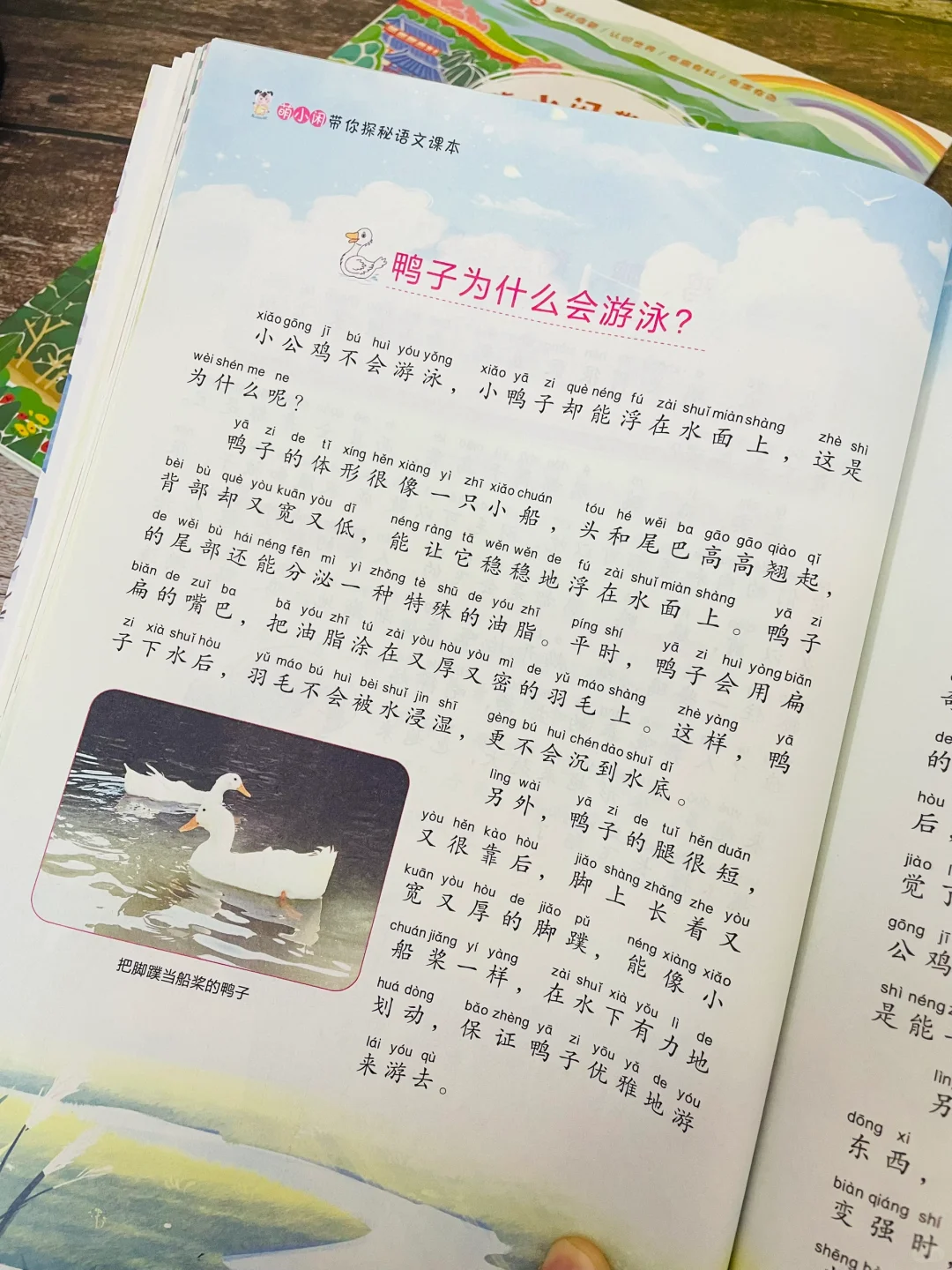 一二三年级狠狠抓阅读，四五年级拉开大差距