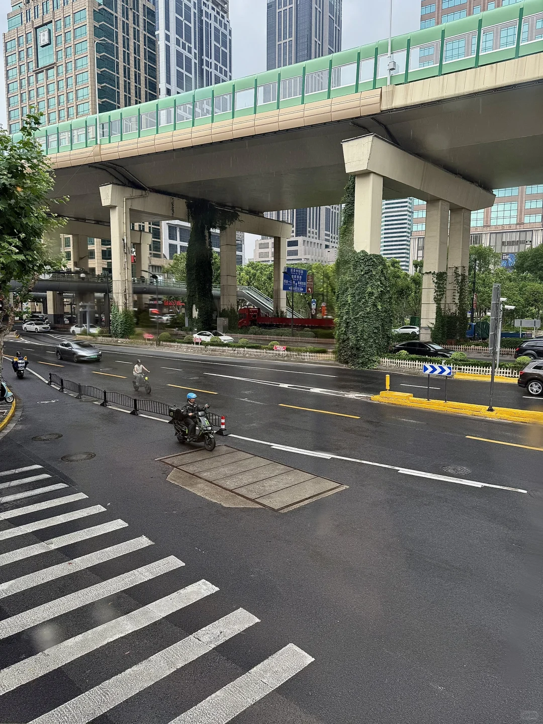 雨天、独处、阅读，像植物一样自由生长