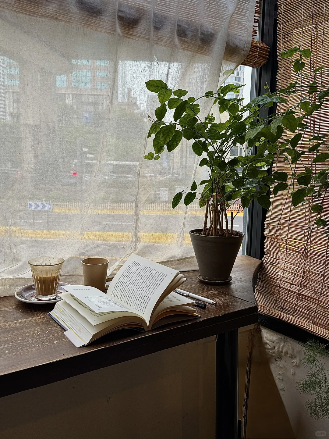 雨天、独处、阅读，像植物一样自由生长