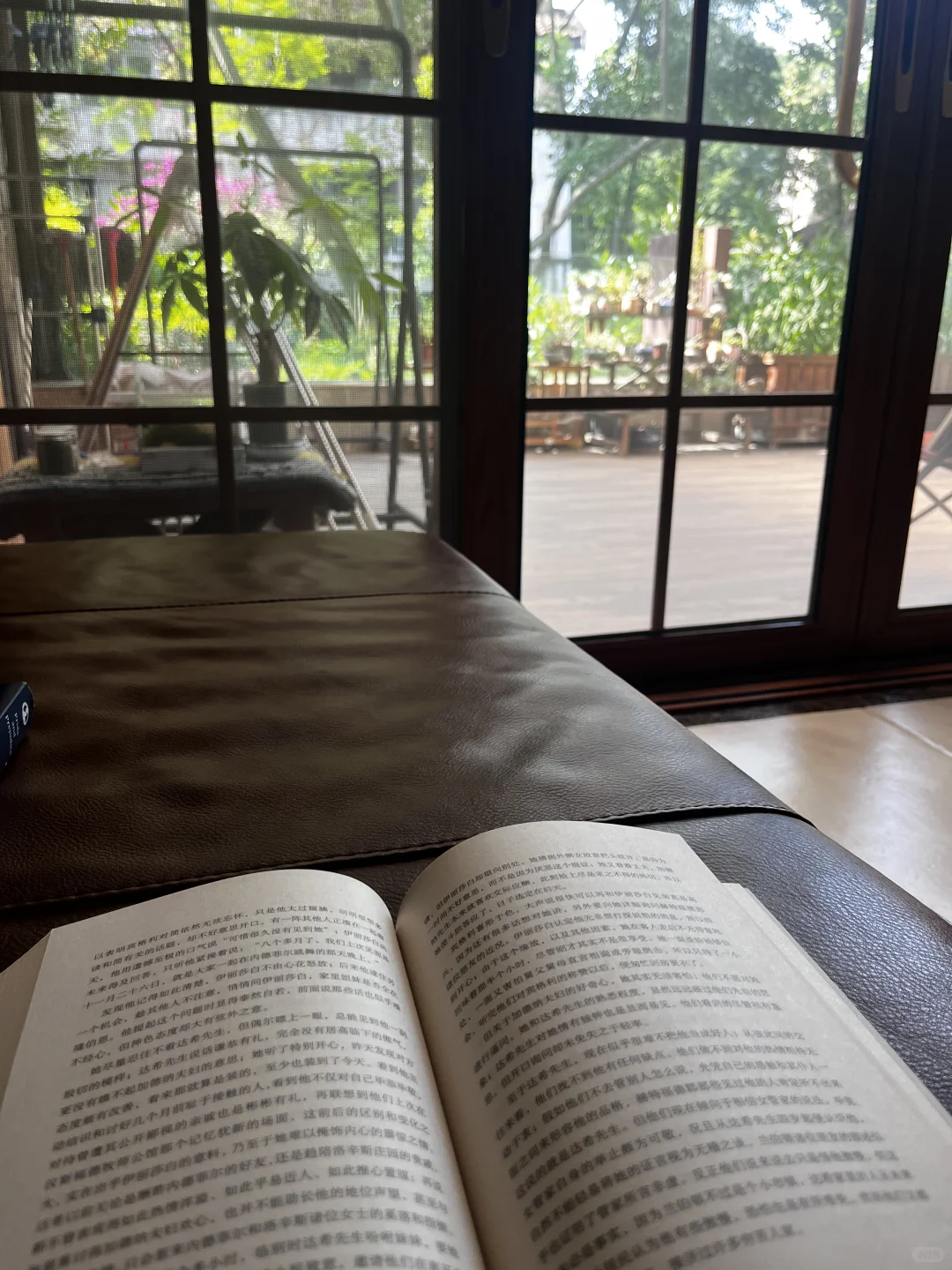 “日常记录｜沉浸式看书📖”