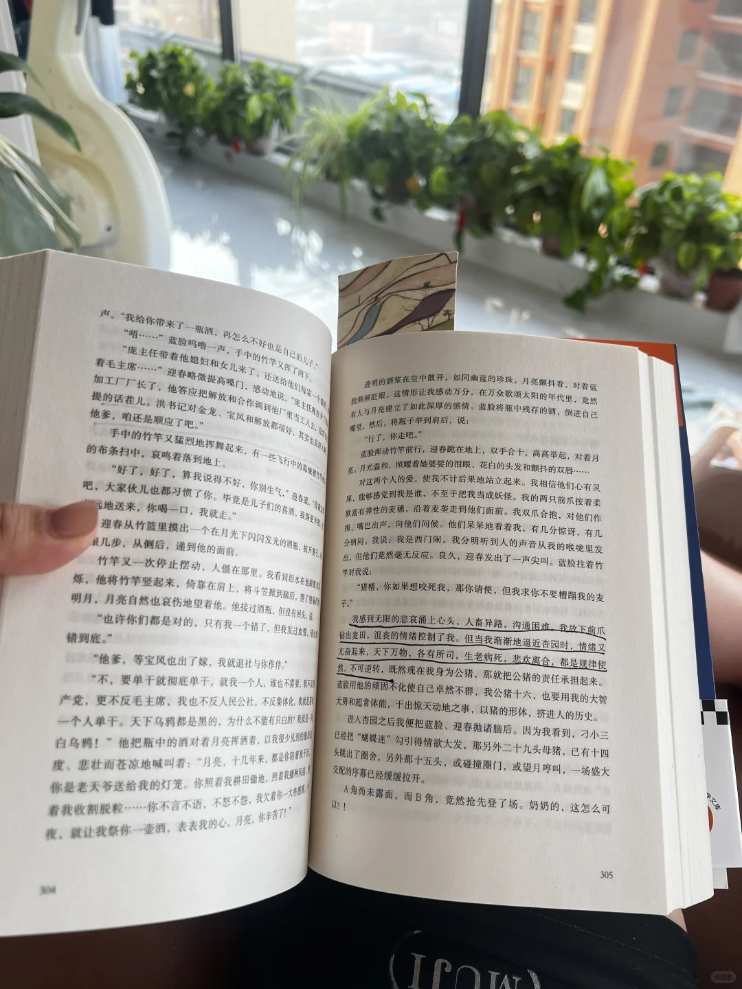 起床后的第一个小时，用来读书