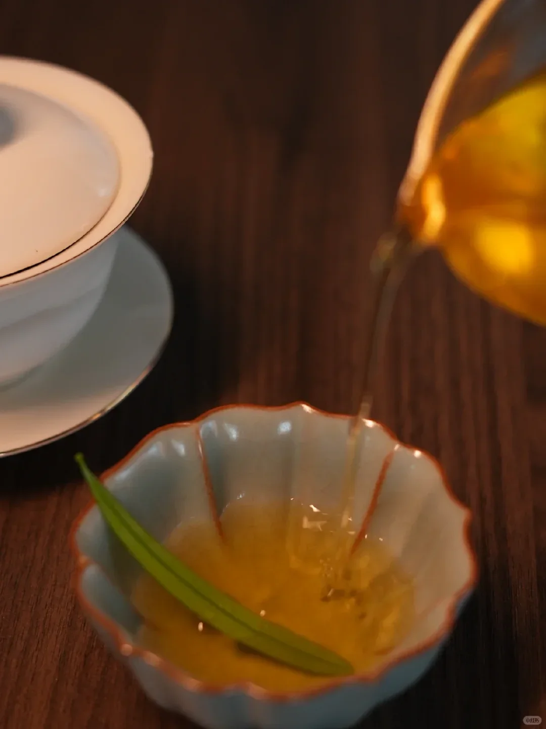 🌿独处 | 喝茶读书，邂逅自在时光