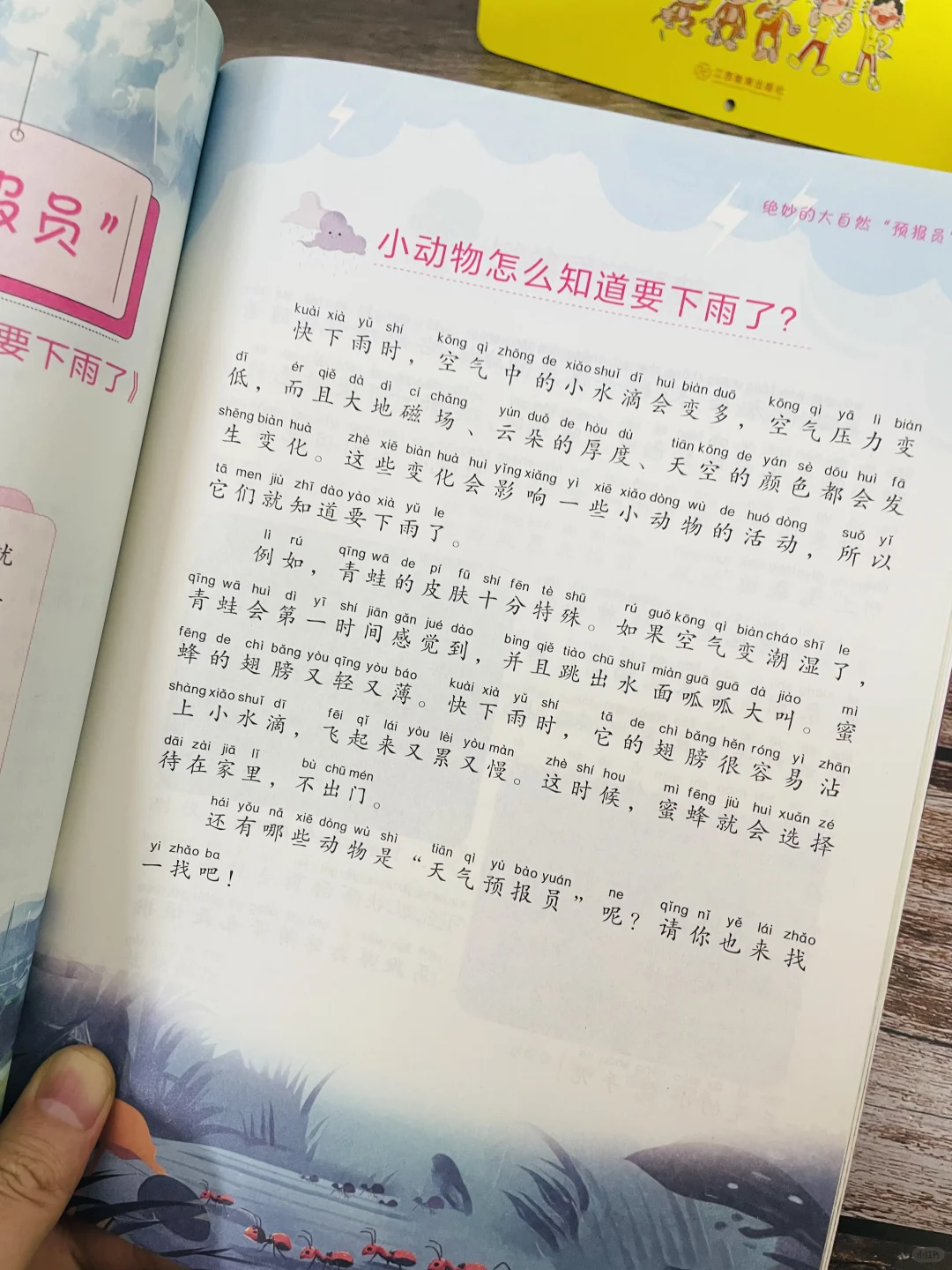 一二三年级狠狠抓阅读，四五年级拉开大差距