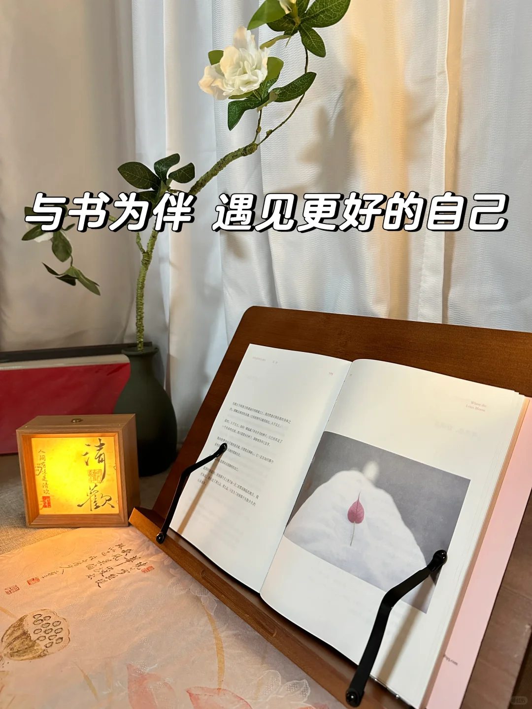 与书为伴，遇见更好的自己🌟