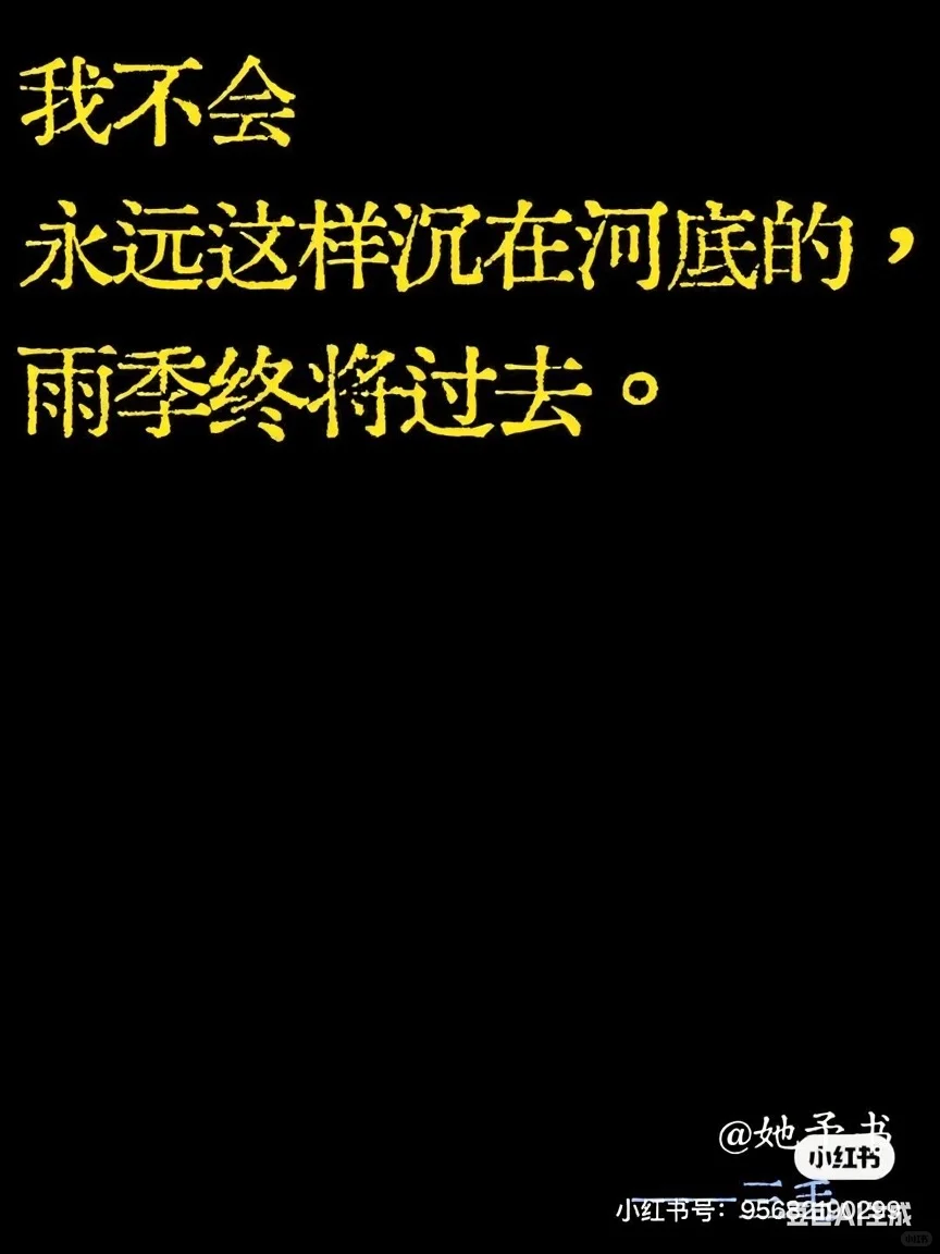 三毛的书里，自由正野蛮疯长