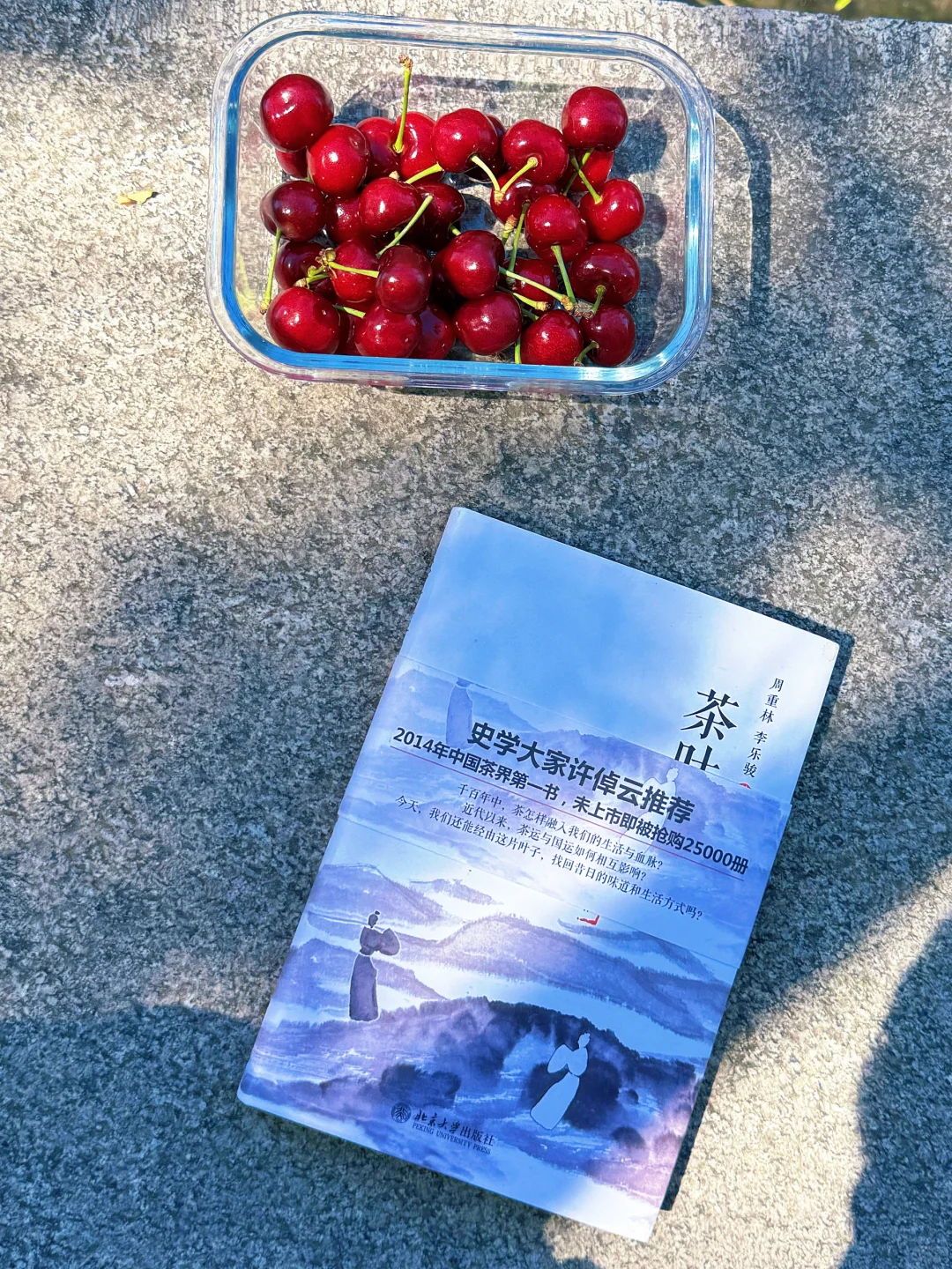 读闲书，低成本的高质量娱乐