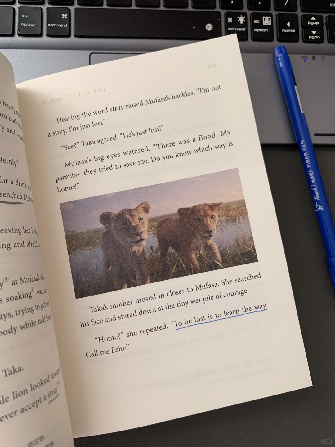 早起是为了享受阅读和咖啡☕️📖带来的