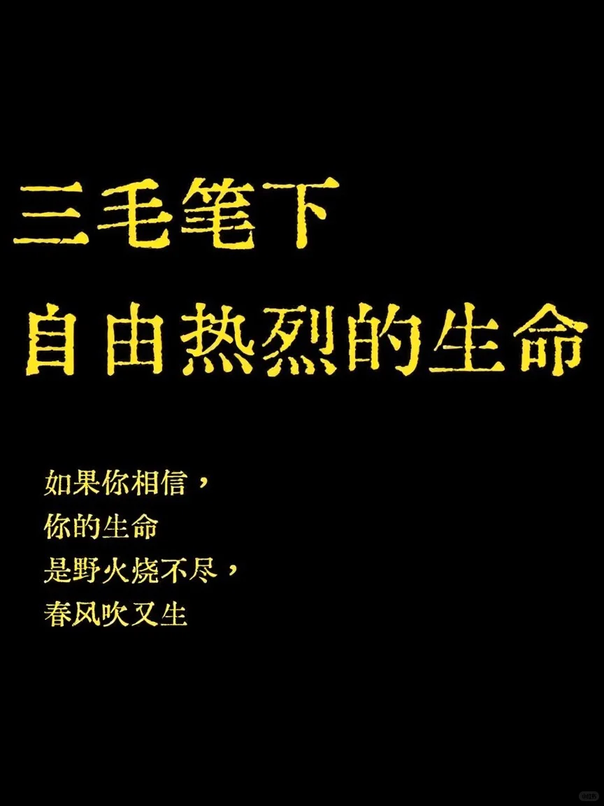 三毛的书里，自由正野蛮疯长